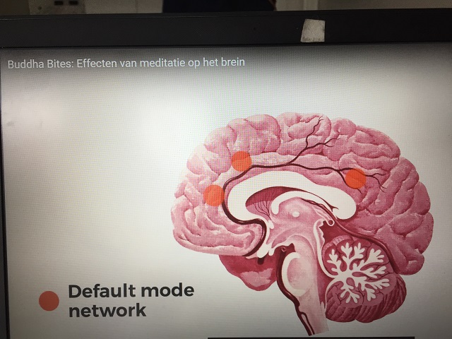 Default mode netwerk